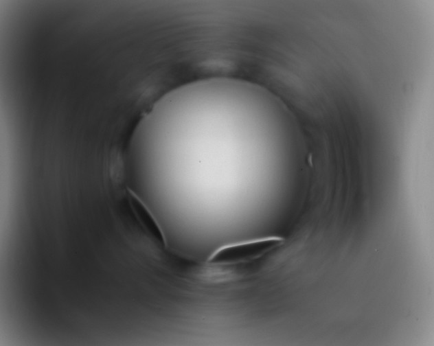X0000092330528200709211309