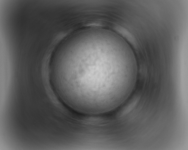 X0000092330529200709211309