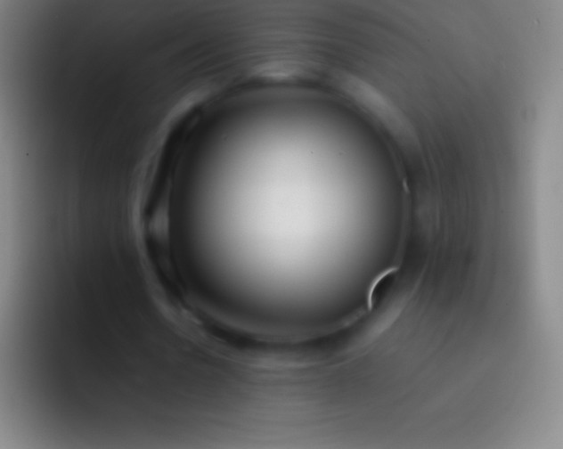 X0000092330530200709211309