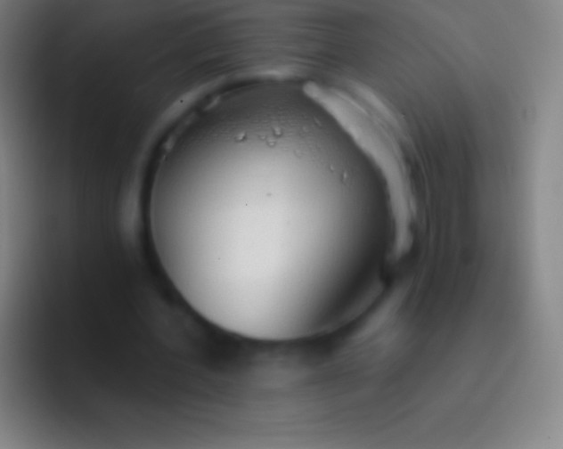 X0000092330532200709211309