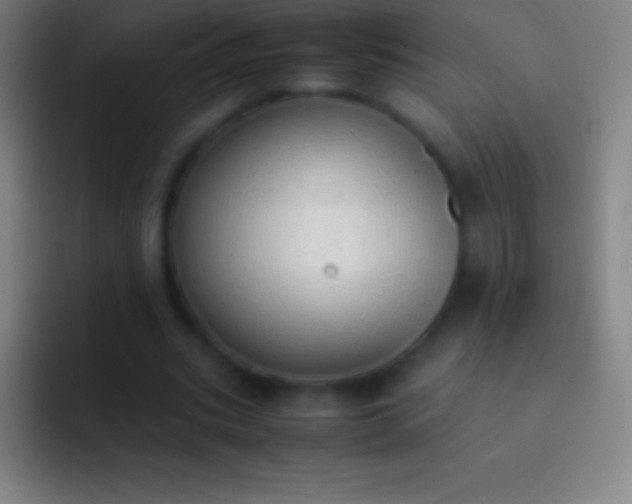 X0000092330535200709211309