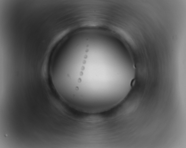 X0000092330536200709211309