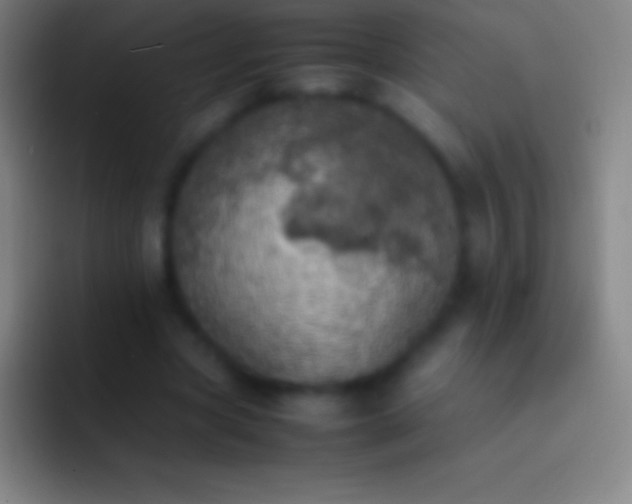 X0000092330537200709211309