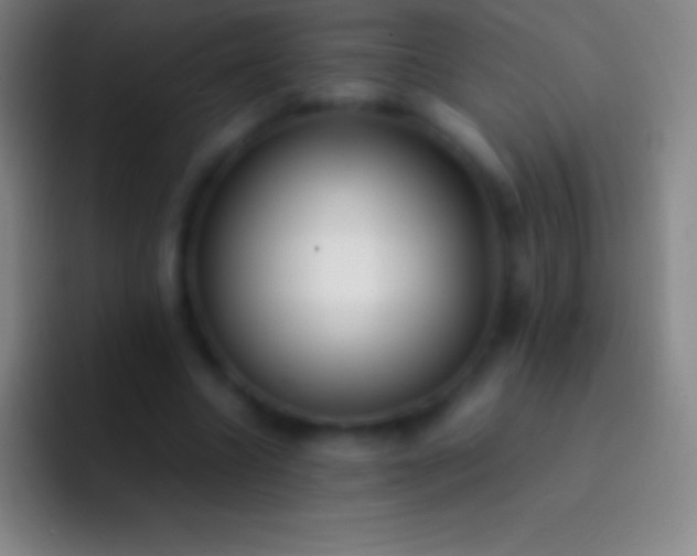 X0000092330538200709211309