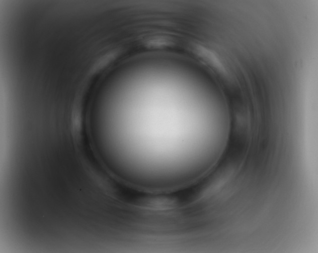 X0000092330539200709211309