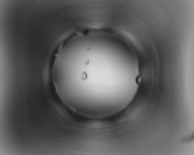 X0000092330540200709211309