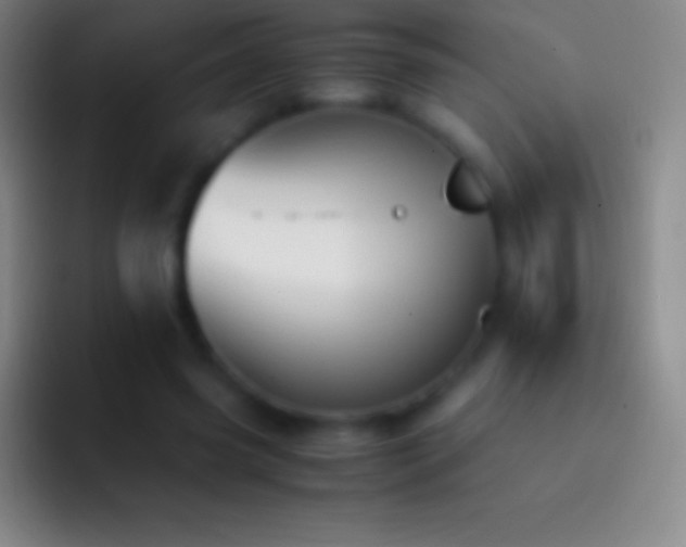 X0000092330541200709211309