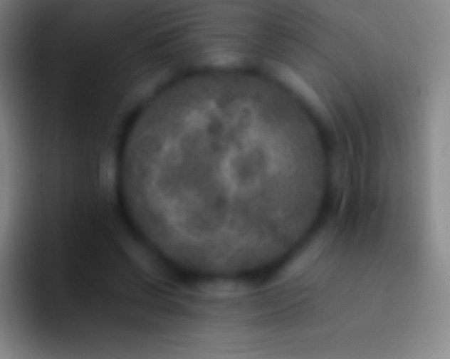 X0000092330542200709211309