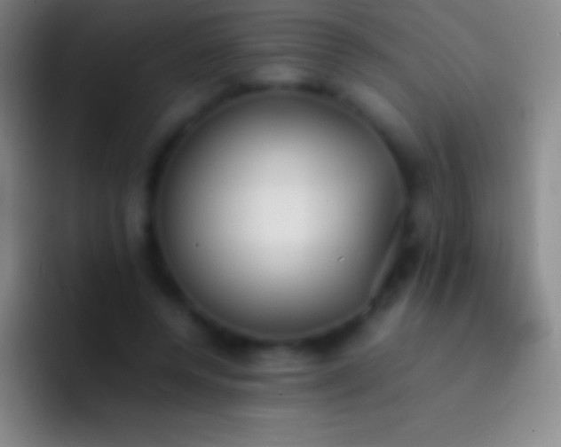 X0000092330544200709211309