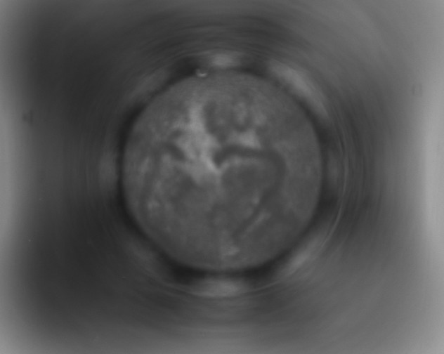 X0000092330545200709211309