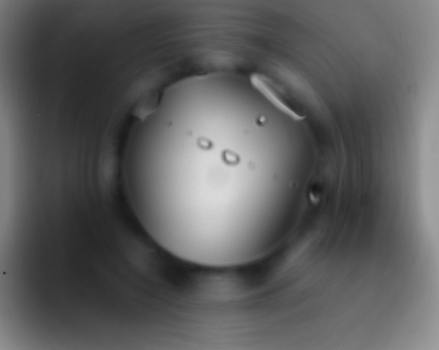 X0000092330548200709211309