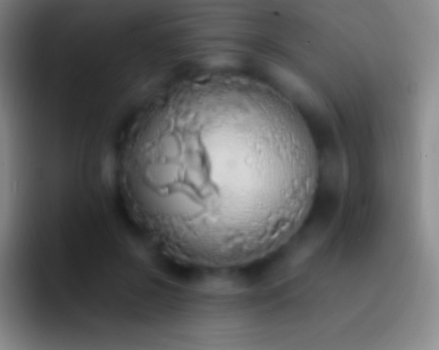 X0000092330550200709211309