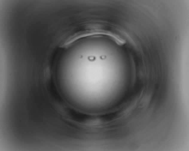 X0000092330551200709211309