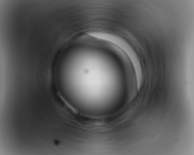 X0000092330552200709211309