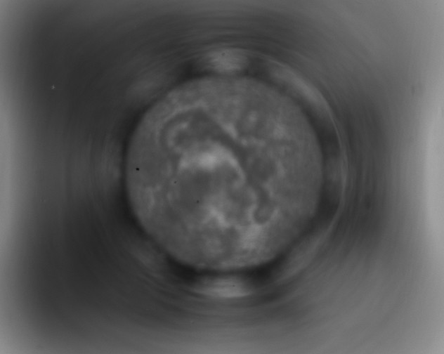 X0000092330553200709211309