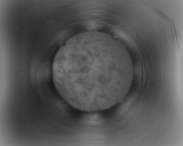 X0000092330554200709211309