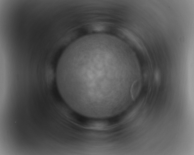 X0000092330555200709211309
