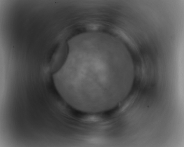 X0000092330557200709211309