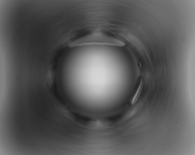 X0000092330558200709211309