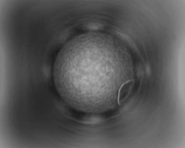 X0000092330559200709211309