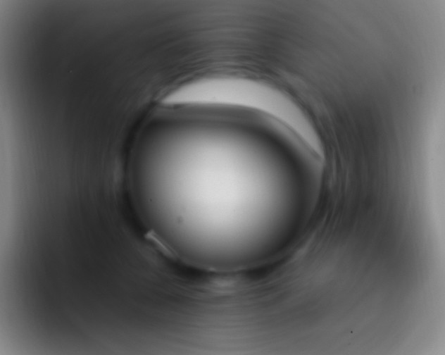 X0000092330560200709211309