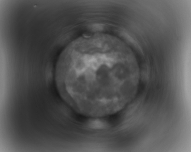 X0000092330561200709211309
