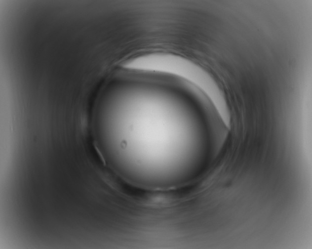 X0000092330564200709211309