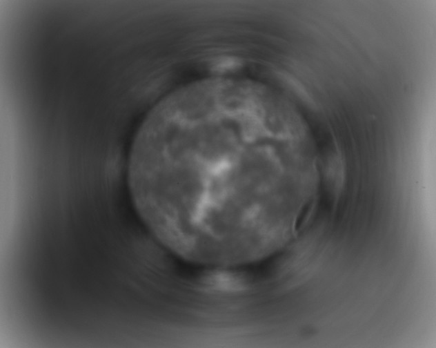 X0000092330565200709211309