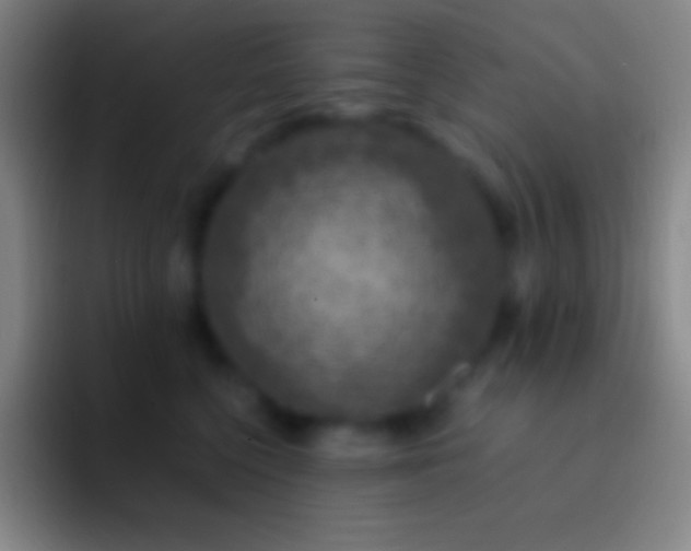 X0000092330568200709211309