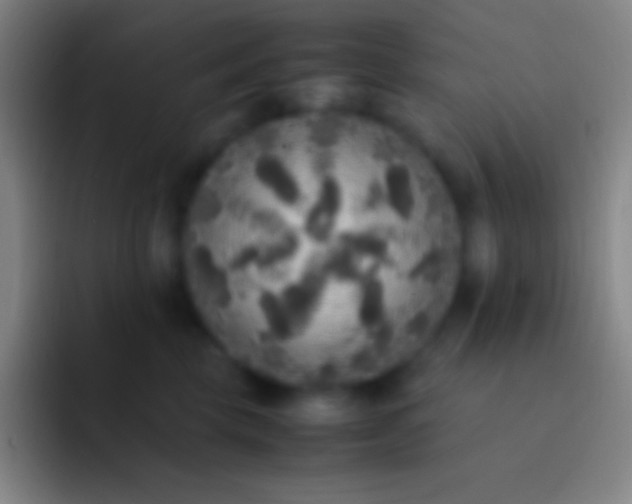 X0000092330569200709211309