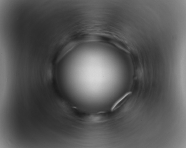 X0000092330570200709211309