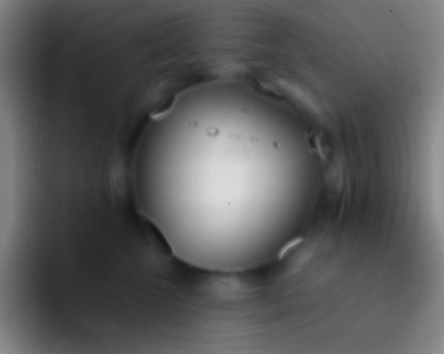 X0000092330572200709211309