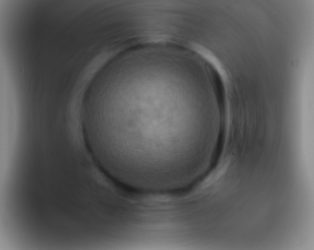 X0000092330577200709211309
