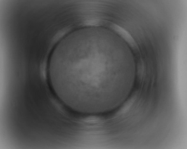 X0000092330578200709211309