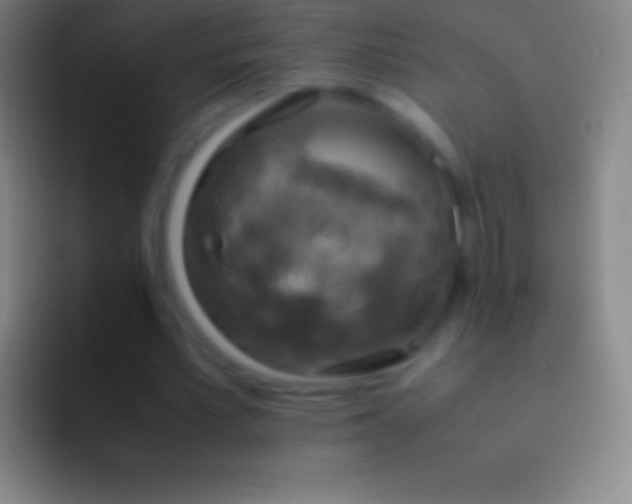 X0000092330581200709211309