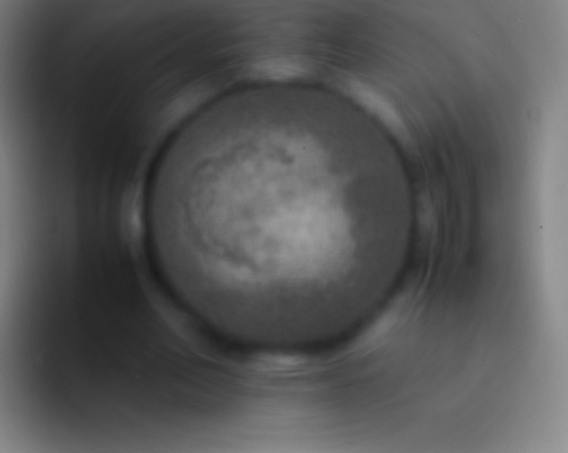 X0000092330582200709211309