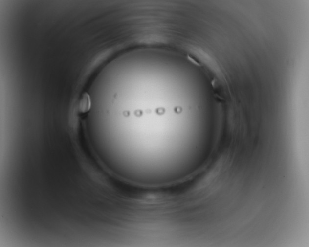 X0000092330584200709211309