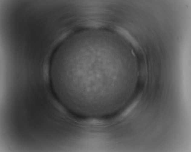 X0000092330585200709211309