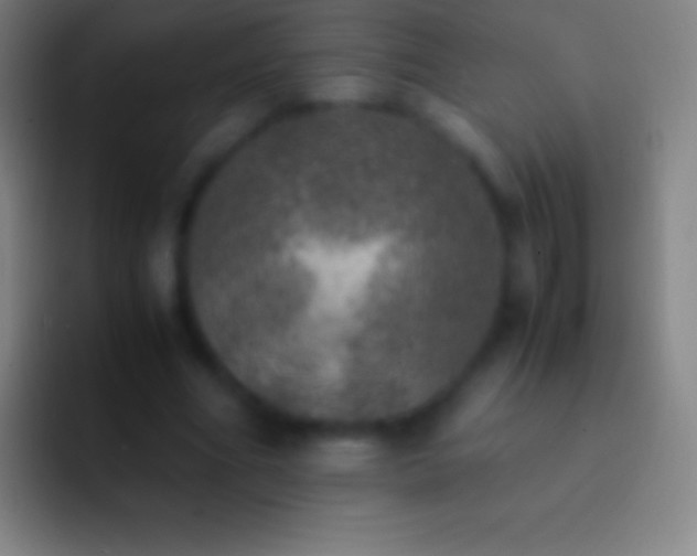 X0000092330586200709211309