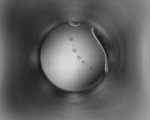 X0000092330588200709211309