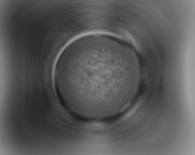 X0000092330589200709211309