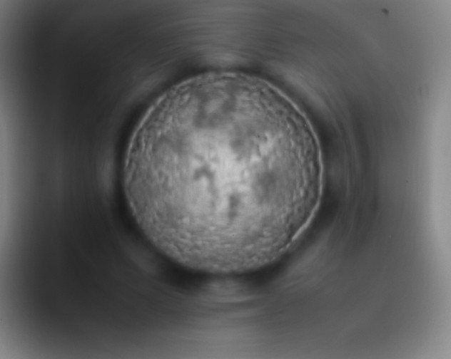 X0000092330591200709211309