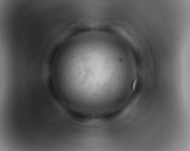 X0000092330593200709211309