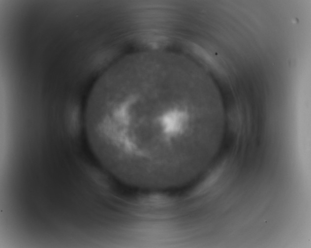 X0000092330594200709211308