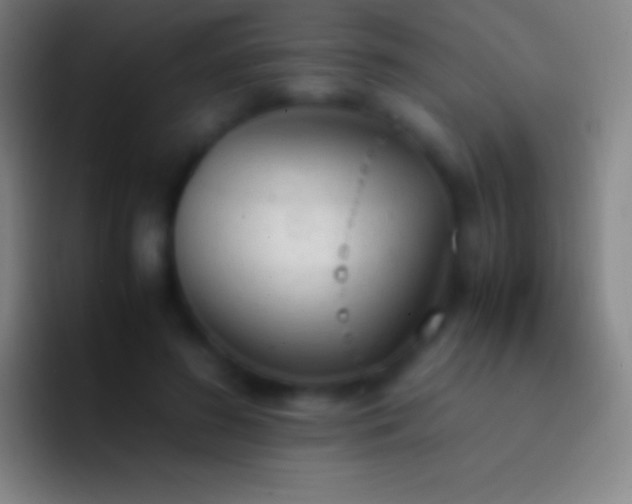 X0000092330596200709211308