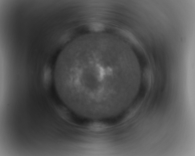 X0000092330598200709211308