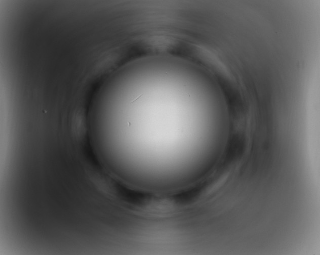 X0000092330599200709211308