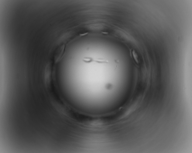 X0000092330600200709211308