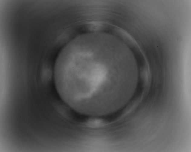 X0000092330602200709211308