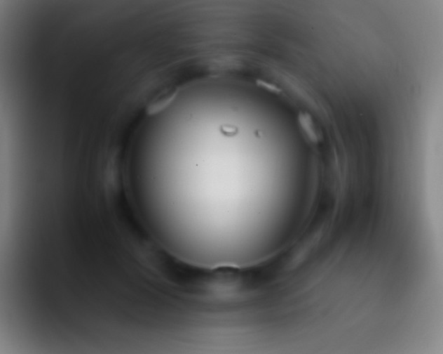 X0000092330604200709211308